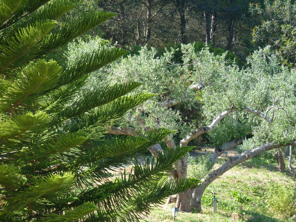 Casal Das Oliveiras Setubal Exterior photo